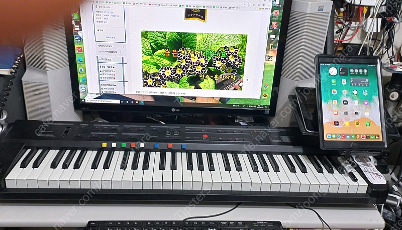 야마하 YAMAHA 리페이스 REFACE DX