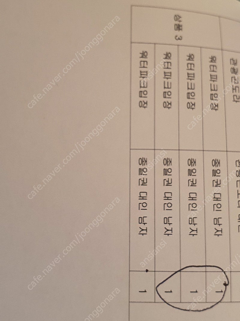 휘닉스 블루캐니언 워터파크 대인1장 (6월1일)