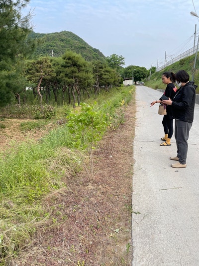 정원친구 이미지