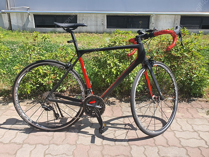 2022년 첼로 케인 S7 크롬레드/블랙 L 510 사이즈 로드자전거 판매합니다.