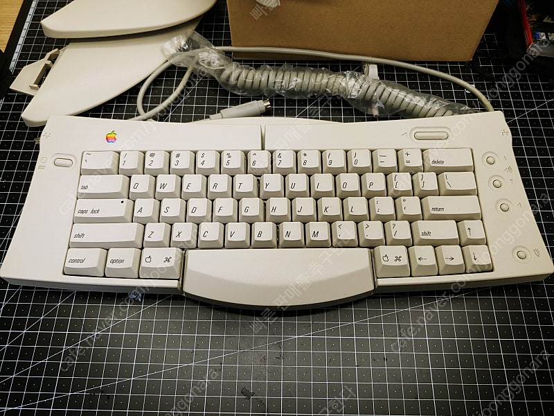 Apple Adjustable Keyboard (M1242) (Alps SKFR white)