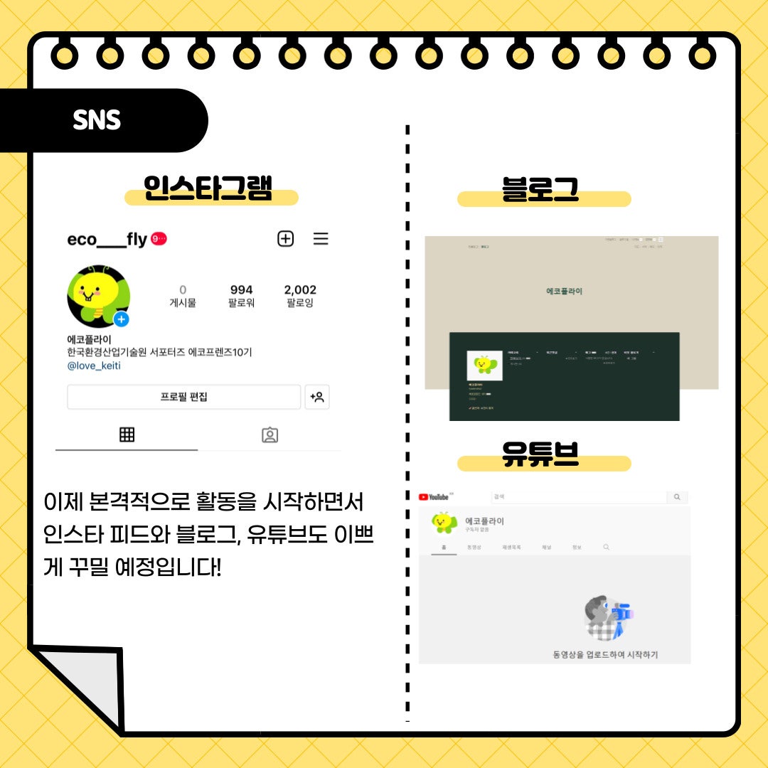 에코플라이 이미지