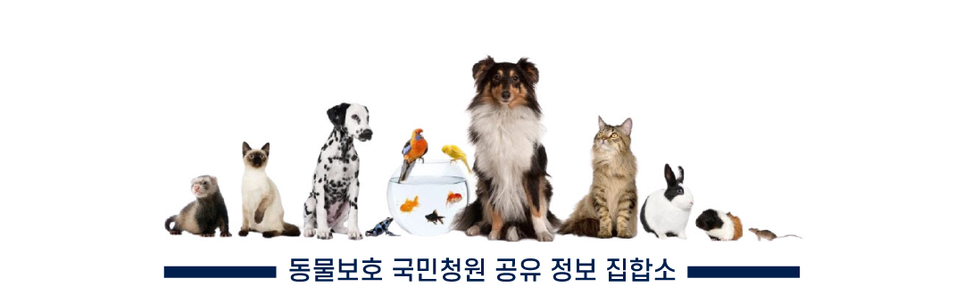 [동국이]  동물보호 국민청원 정보 공유 집합소