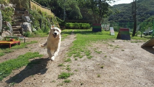 파크랜드상주 이미지