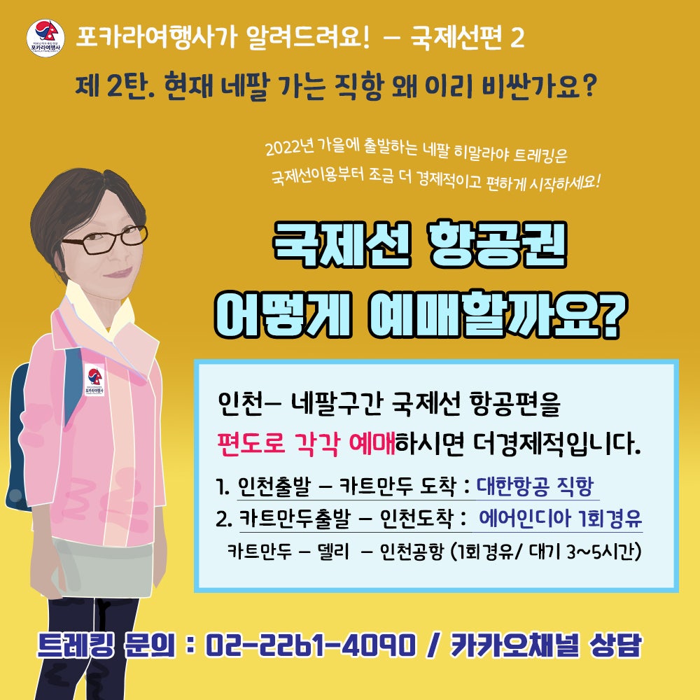 대한국제여행사 이미지