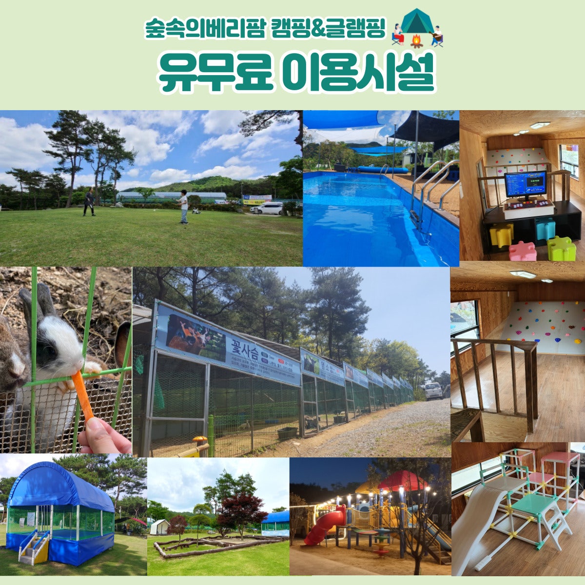 숲속의 베리팜 이미지