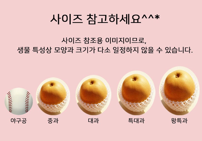 그린시스 이미지