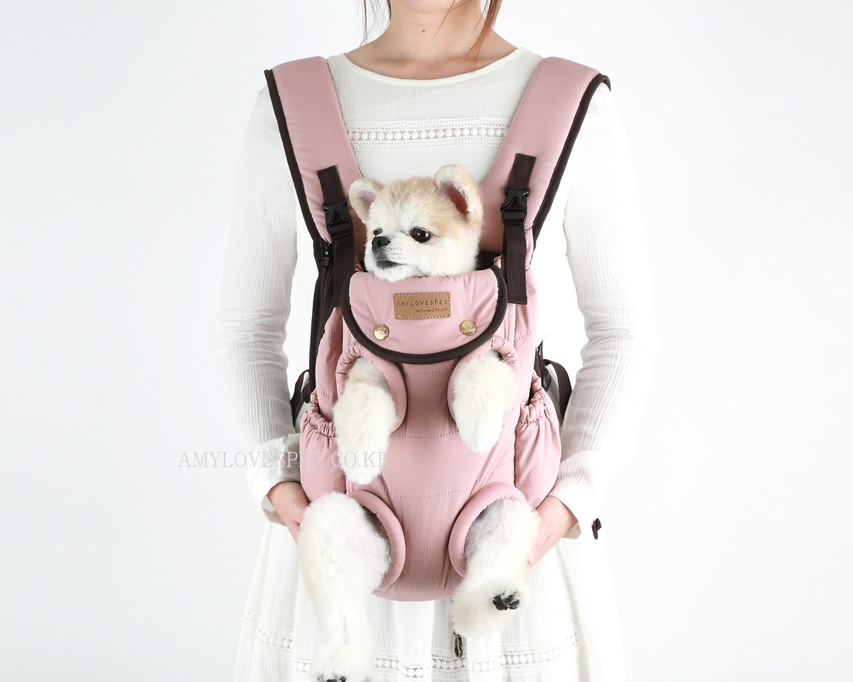 프론트백 이미지