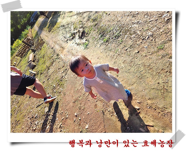 형제농장 이미지