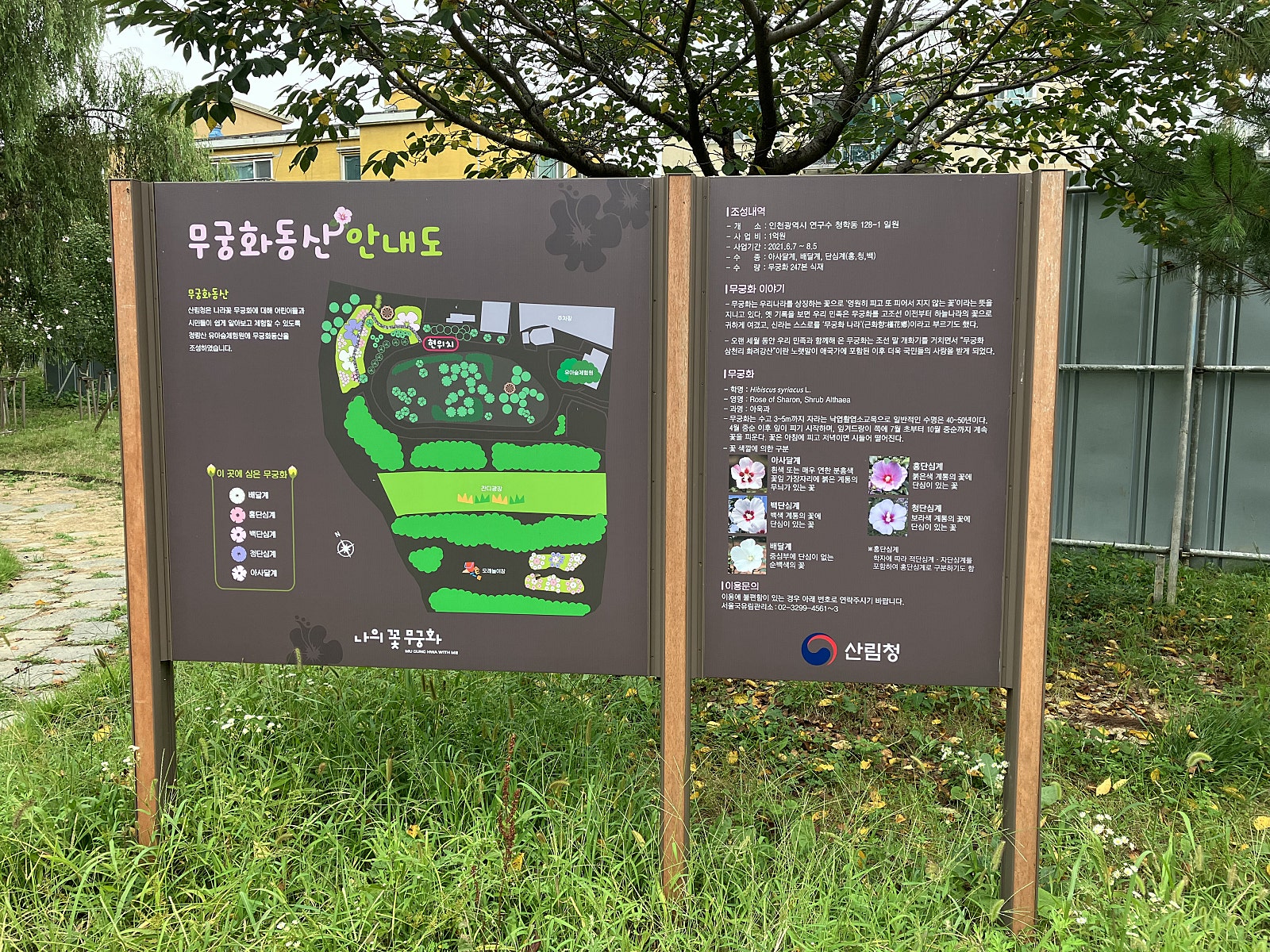 청량산 유아숲체험원 이미지