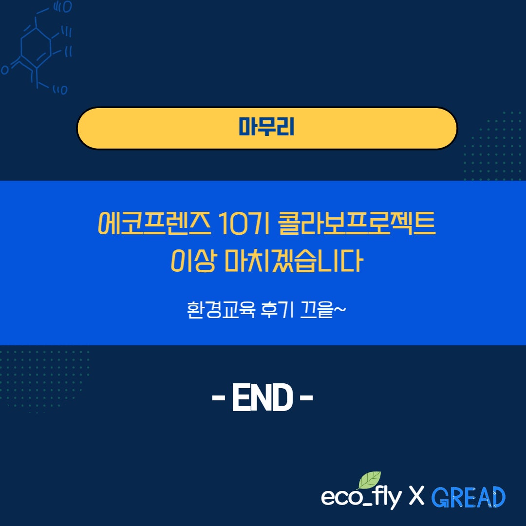 에코플라이 이미지