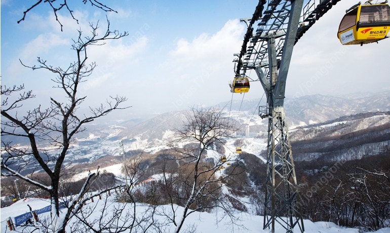 휘닉스평창콘도(20평형)숙박권양도1월3,4,5,6일