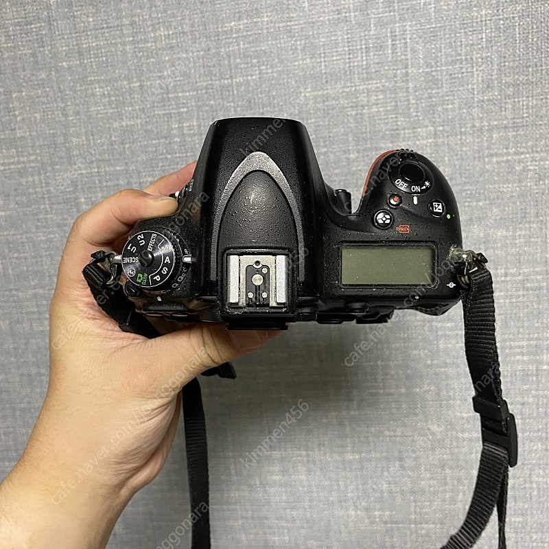 D750, 시그마 70-200 떨방, 고독스 V860i...--4