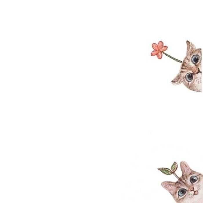 야마하 rn 803 구합니다.