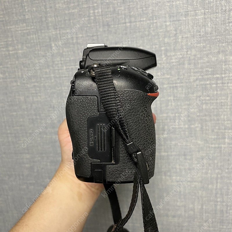 D750, 시그마 70-200 떨방, 고독스 V860i...--3