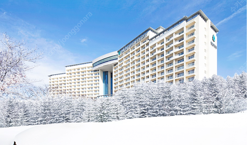 소노벨 경주(1월29일) 스위트(취사) 양도합니다.