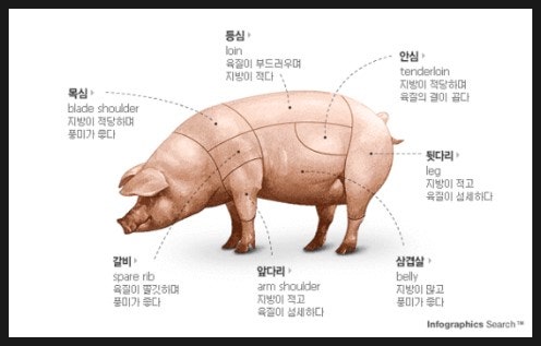 로얄돼지 이미지