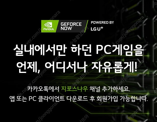 지포스나우 프로 테라 쿠폰 구매합니다--0