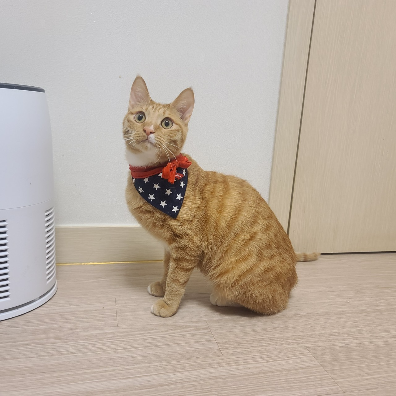 다건 이미지