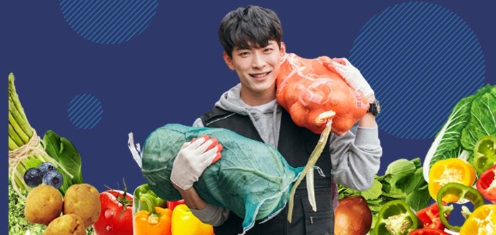 대박야채과일 이미지
