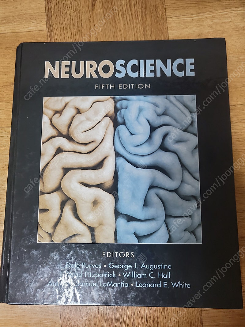 신경학 Neuroscience Dales 5th