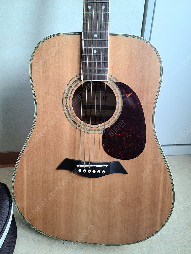 통기타(데임 릴리스70ns)