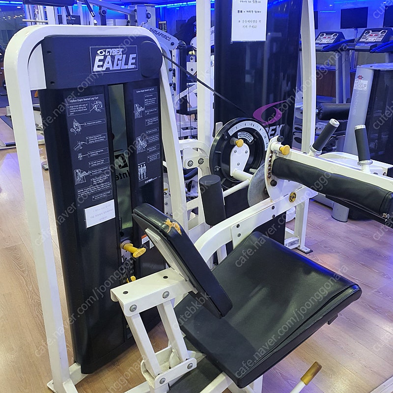 헬스장 오픈 풀셋트 수입머신 싸이벡스 이글,vr3,라이...--1