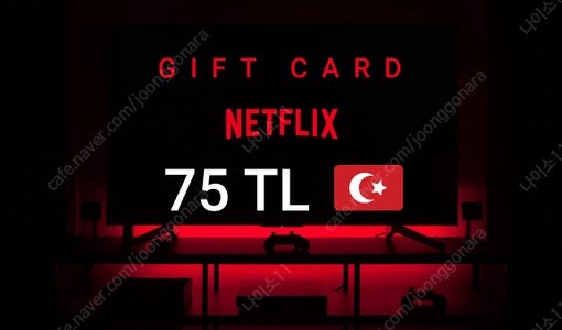 넷플릭스 터키 기프트카드