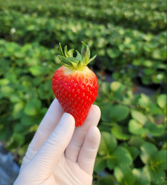 담청랩 이미지