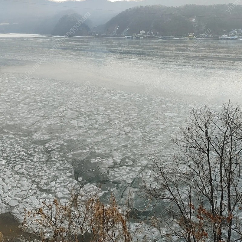 휘닉스파크 블루캐니언/ 스노우빌리지/뷔페 올데이 패스권 구해요