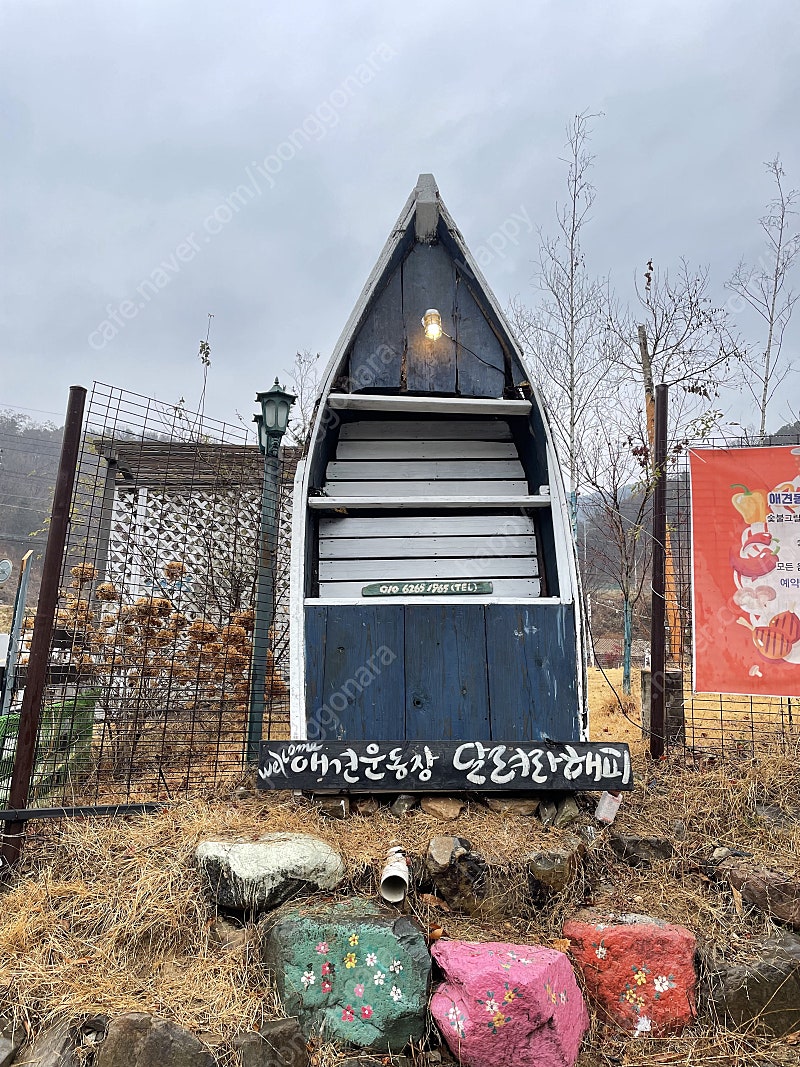 우든카누삽니다