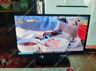 인켈32인지tv (직 서산)