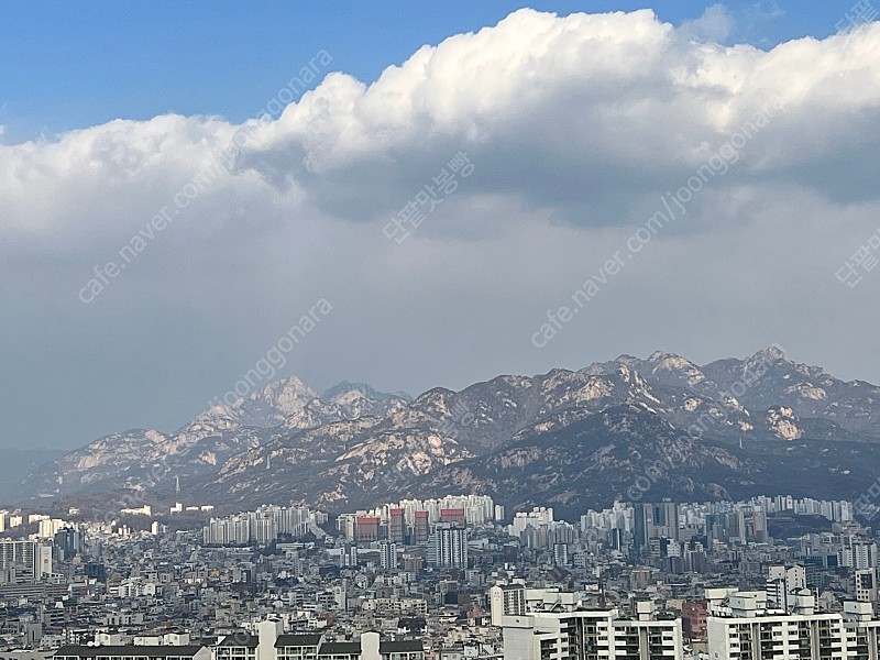 2월 22일 휘닉스파크 식사권, 스노우빌리지, 블루캐니언 이용권 2매씩 삽니다.