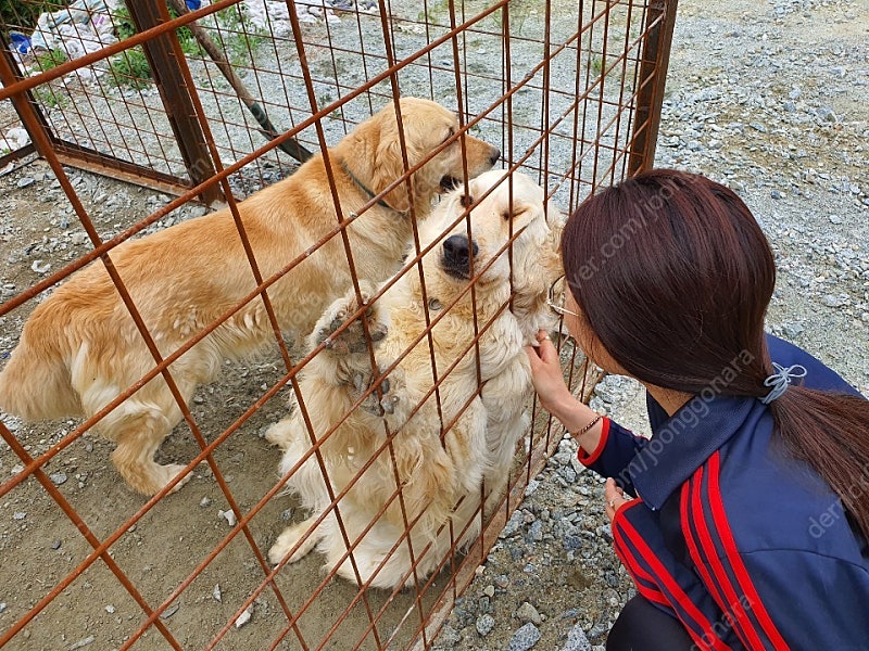 미개봉 오큘러스 퀘스트2 256g 팝니다.