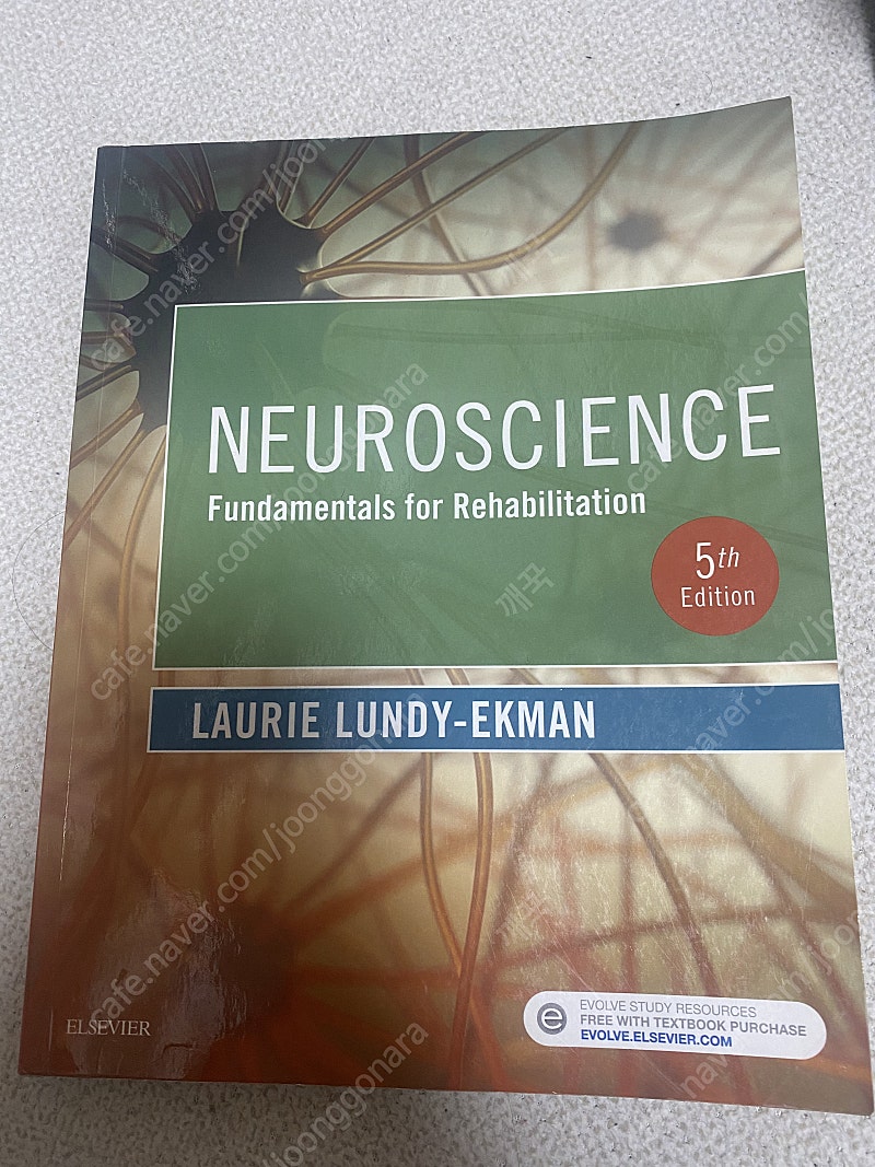 Neuroscience fundamentals for rehabilitation