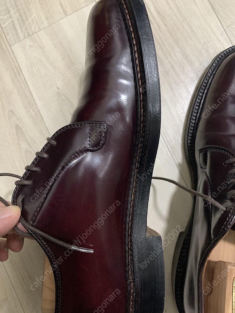 알든 990_가격 인하--4