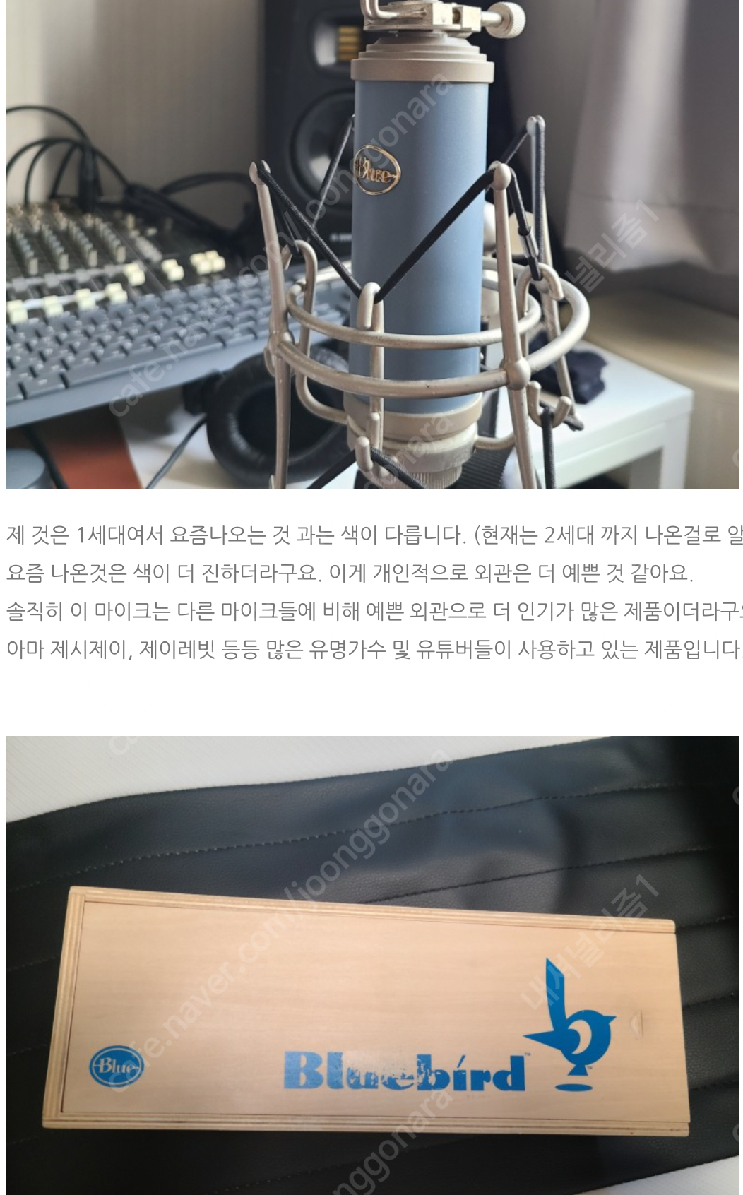 블루버드 마이크 팝니다.