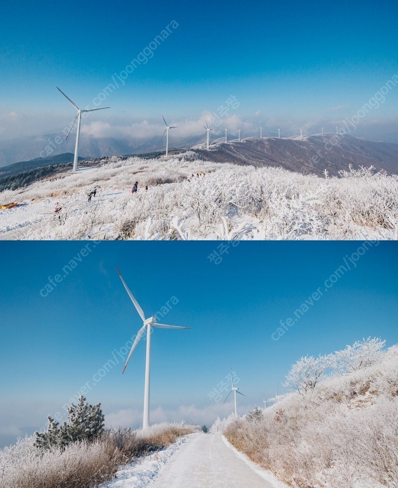 휘닉스파크 부폐권 오늘것 양도해요