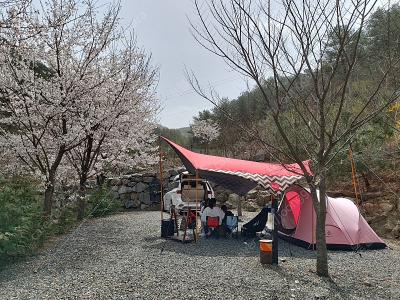 어반포레스트 옥타타프 와 폴대셋트 팝니다