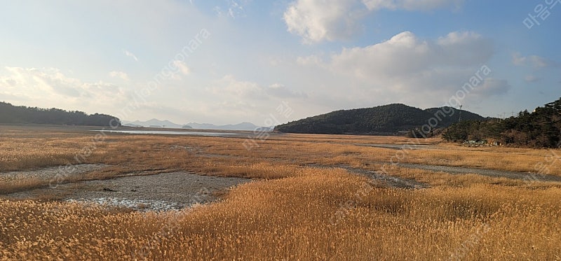 교세라 기어, 싱글 콤보세트 구합니다.