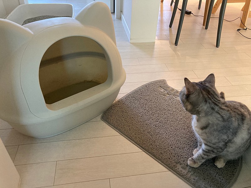 아이캣 고양이 화장실(점보 사이즈)+ 매트