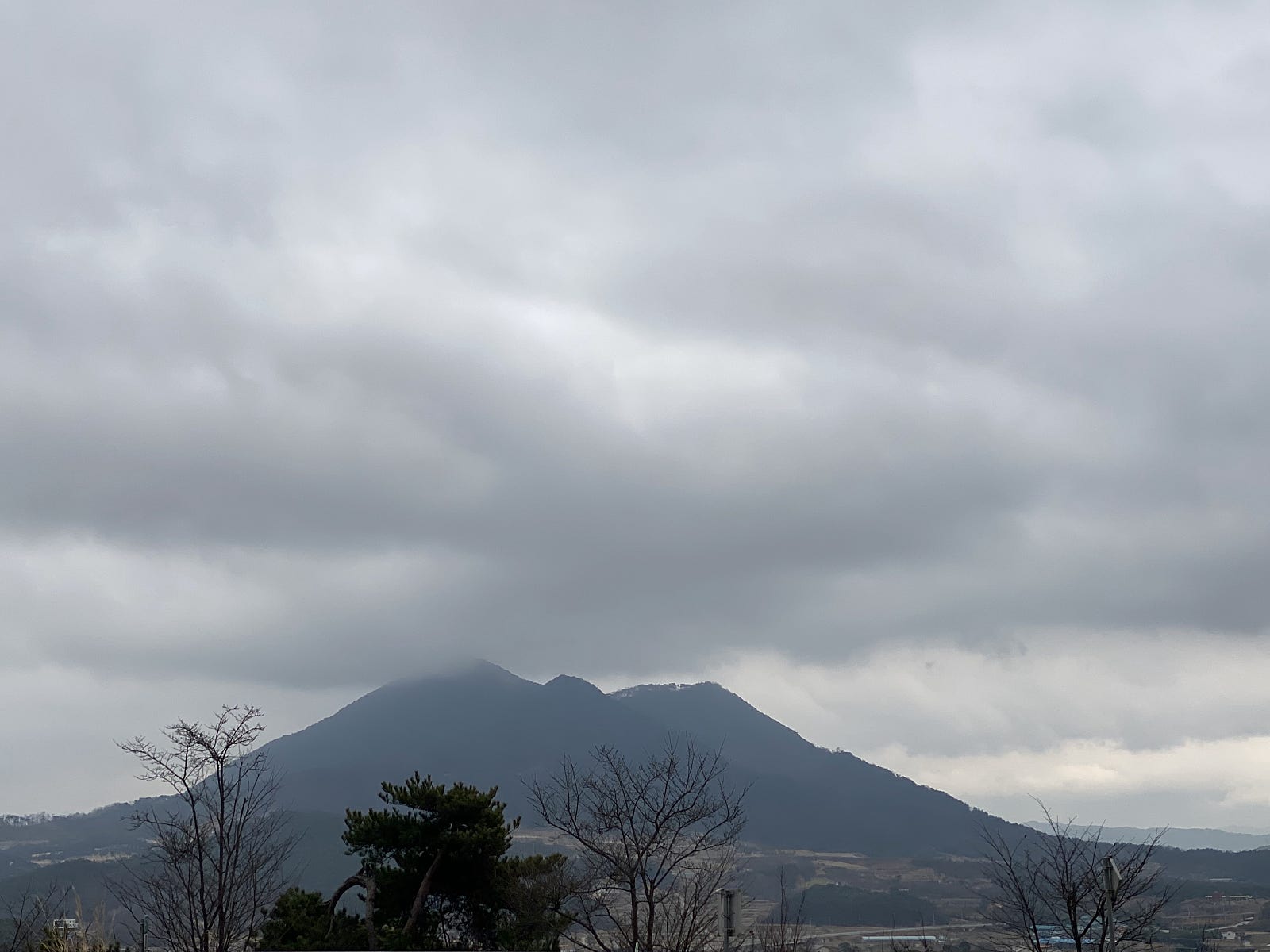 지리산흑도야지 이미지