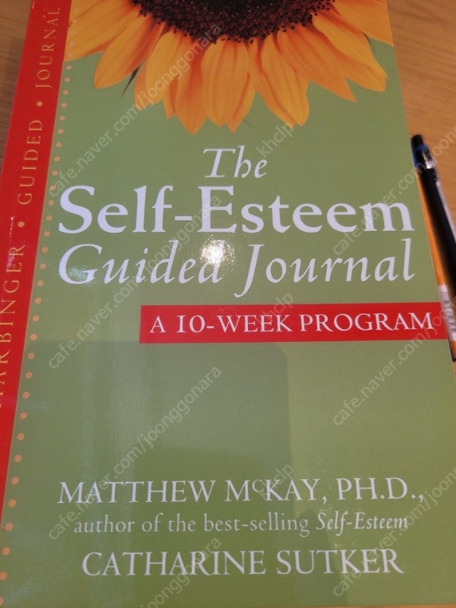 the self-esteem guided journal -Matthew Mckay&Catharine Sutker