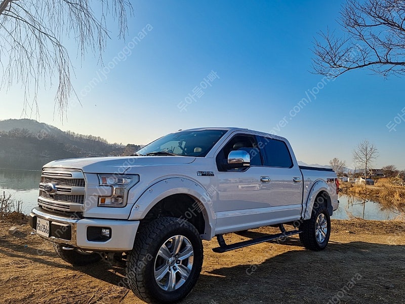 F150 플루티늄 2016년식 팝니다