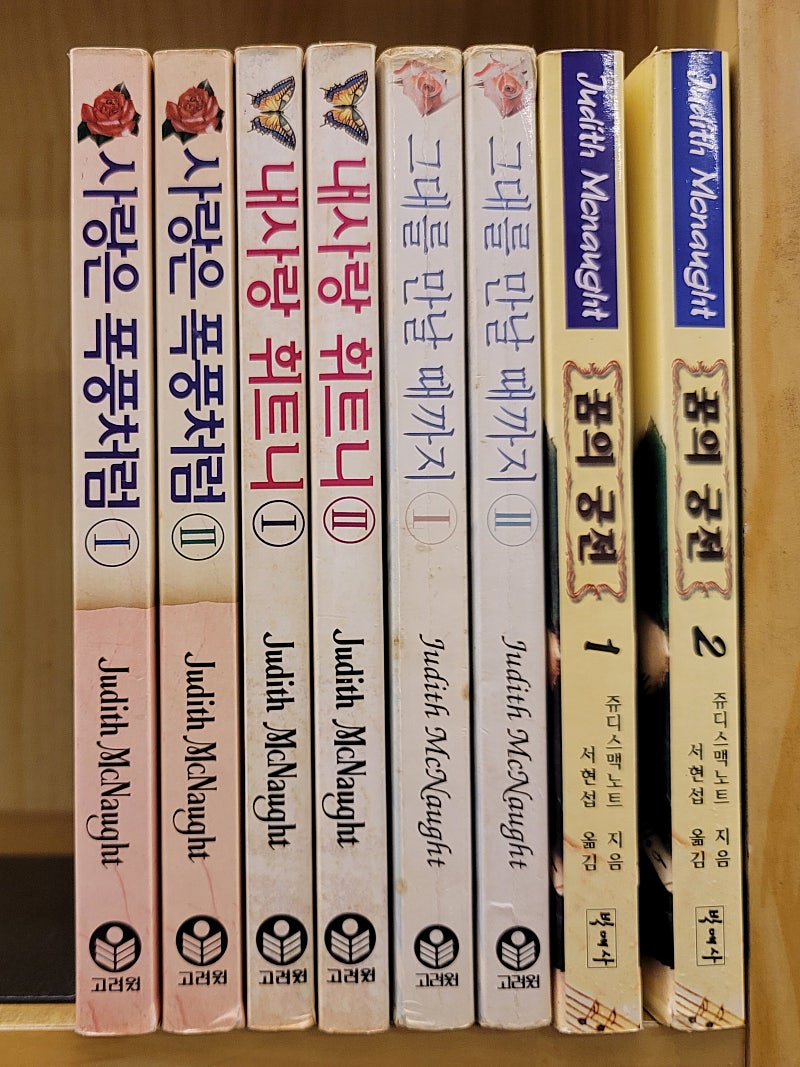 꿈의 궁전, 내사랑 휘트니, 사랑은 폭풍처럼! 그대를 만날 때까지(주디스 맥노트)