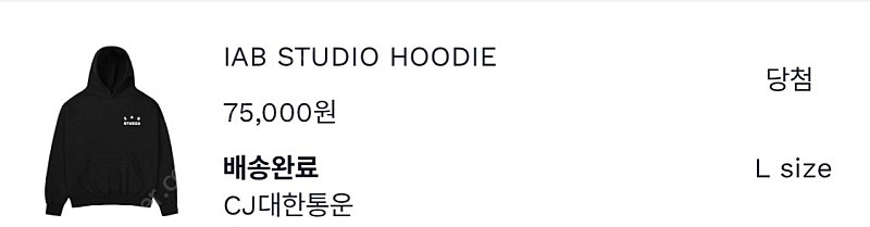 아이앱 2022 후드 블랙 L