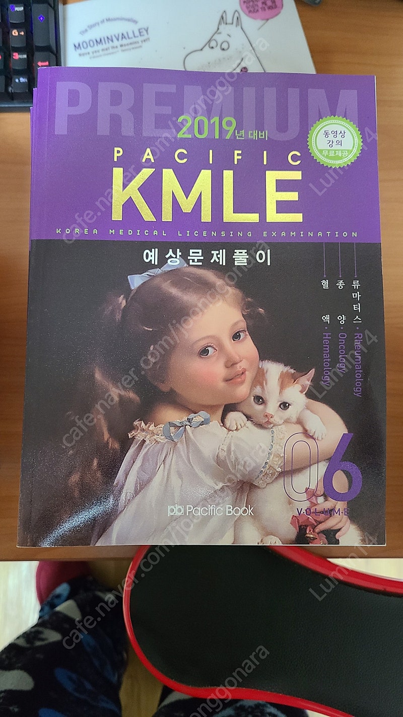 퍼시픽 KMLE 2019 내외산소