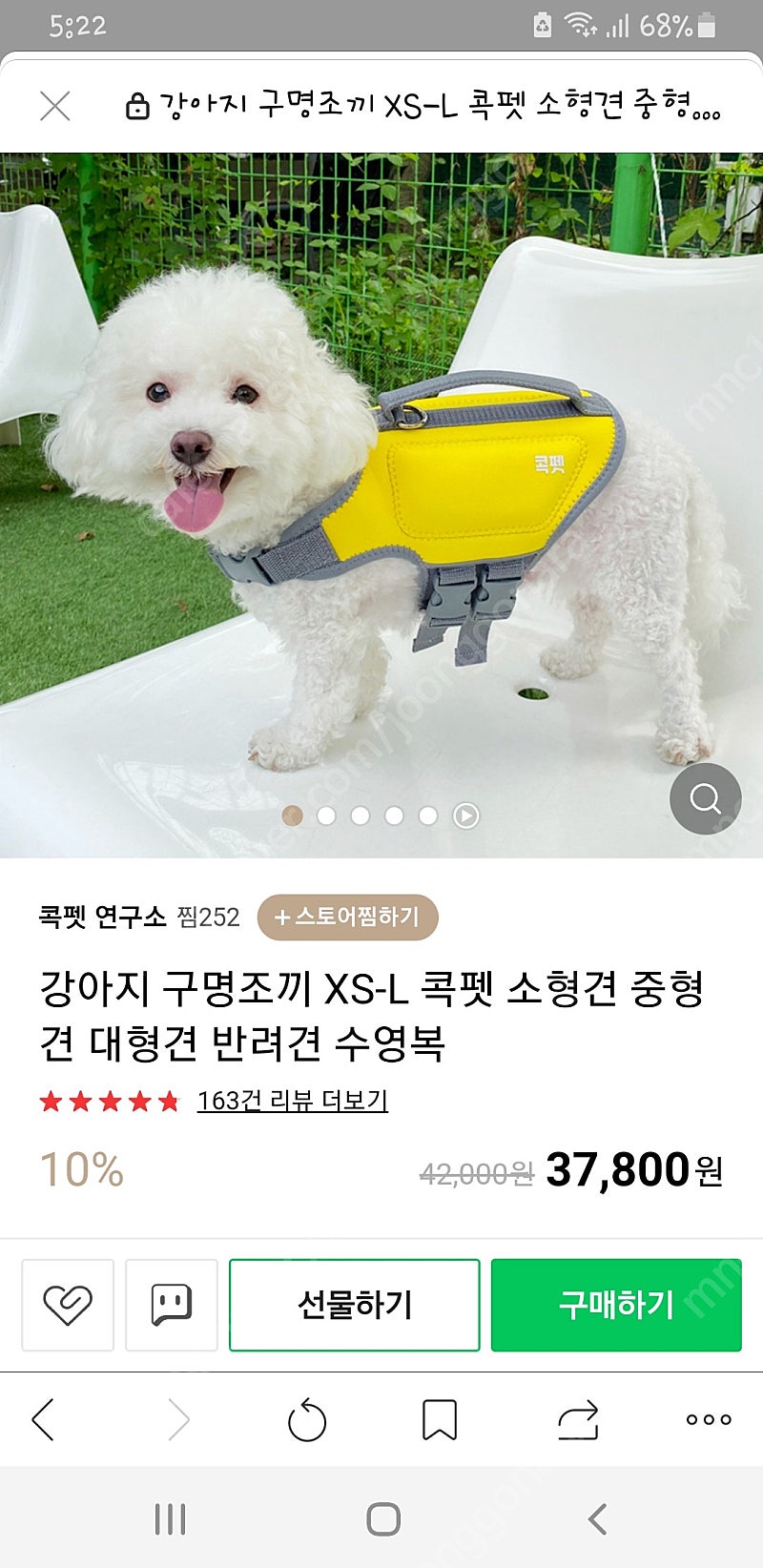 강아지 구명조끼