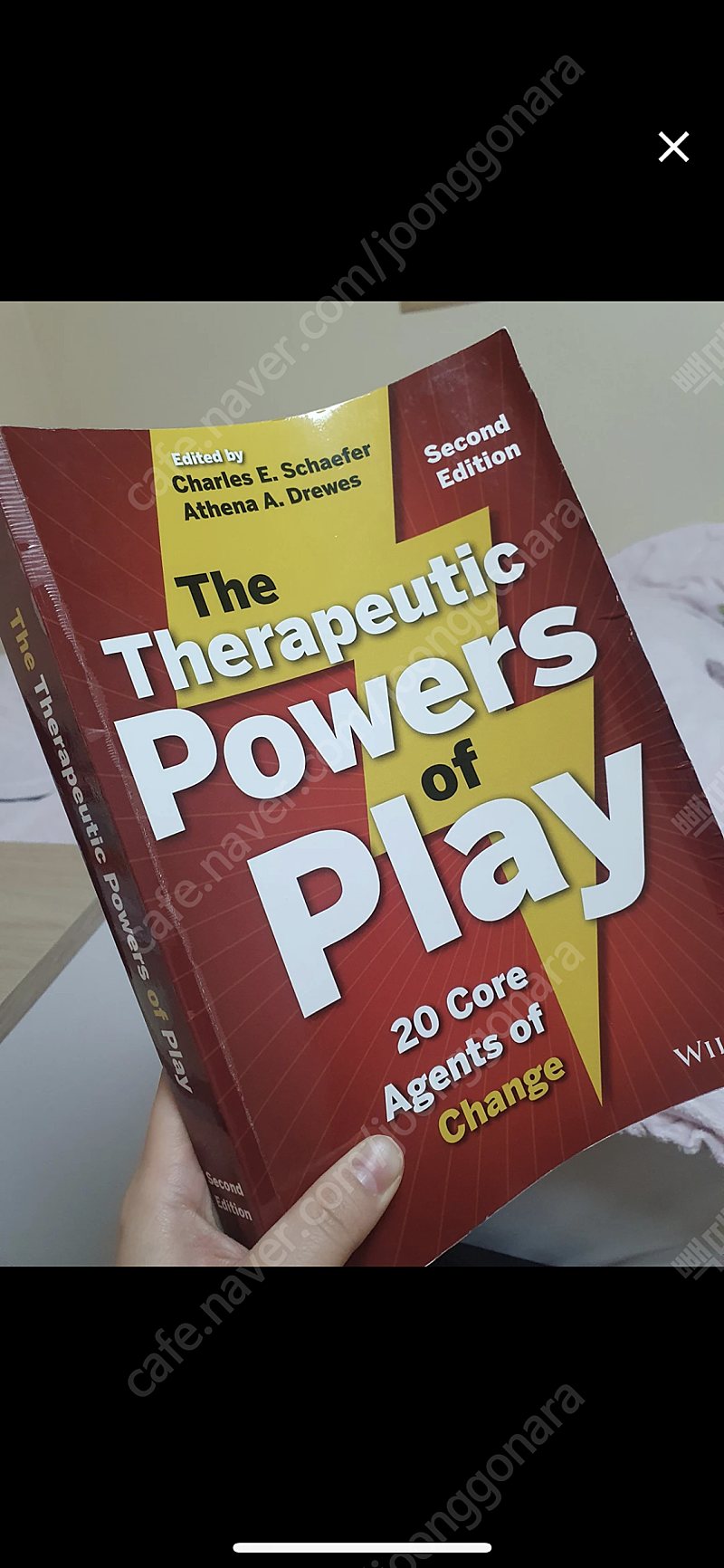The therapeutic powers of play