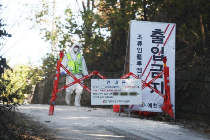 우리조류농장 이미지